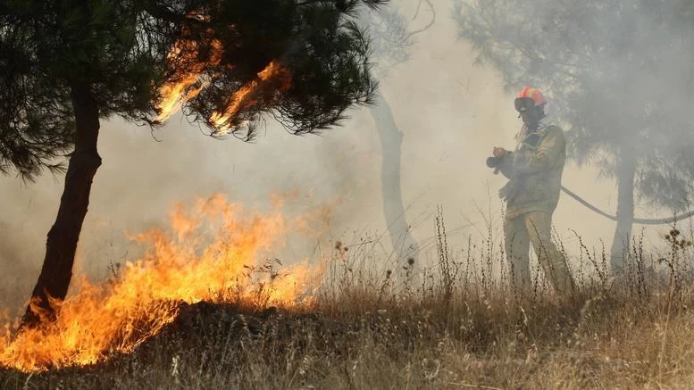 Ηλεία: Φωτιά σε δασική έκταση – Σε συναγερμό οι δυνάμεις της πυροσβεστικής